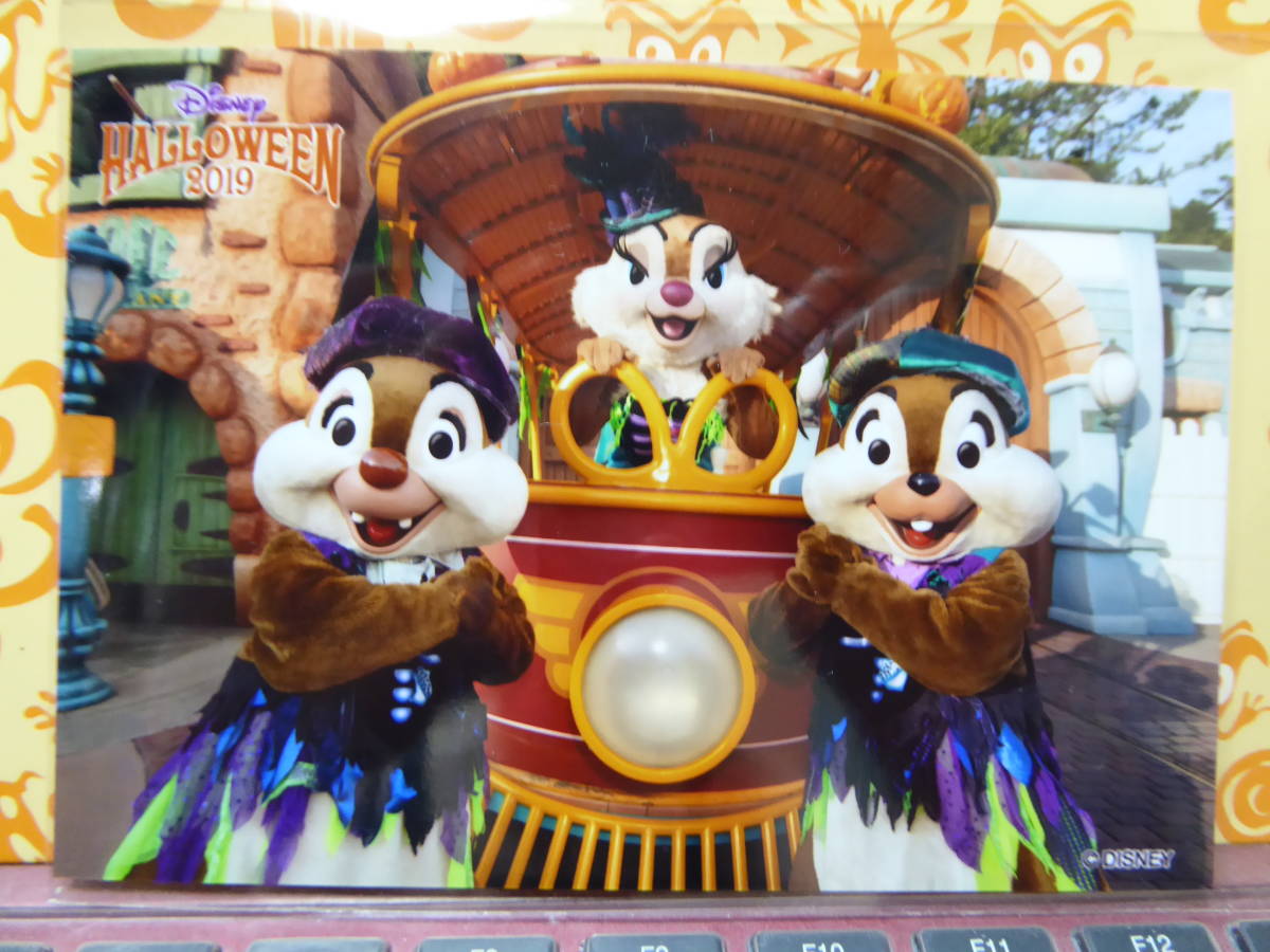 ディズニーランド　　チップ&デール・クラリス　ハロウィン・スペシャルフォト2019　非売品　TDR/TDS/TDL_画像1