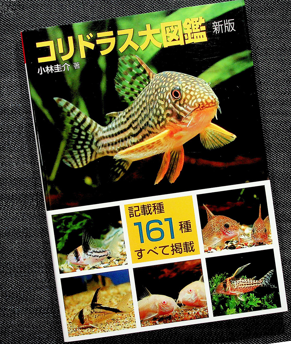 コリドラス大図鑑(新版)｜ ナマズの仲間 記載種161種類+未記載種 飼育 飼い方 水槽レイアウト 繁殖 熱帯魚 アクアライフ_画像1