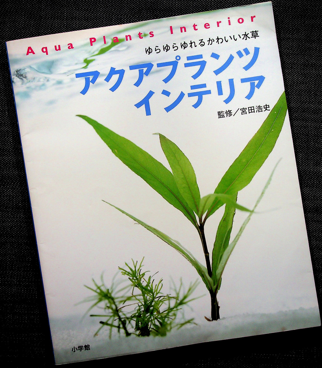 ★即納★アクアプランツ インテリア｜水草 アクアリウム 水中栽培 熱帯魚水槽 植え方 作り方 育成 レイアウト アレンジ 観葉植物#_落丁（ページ抜け）はありません