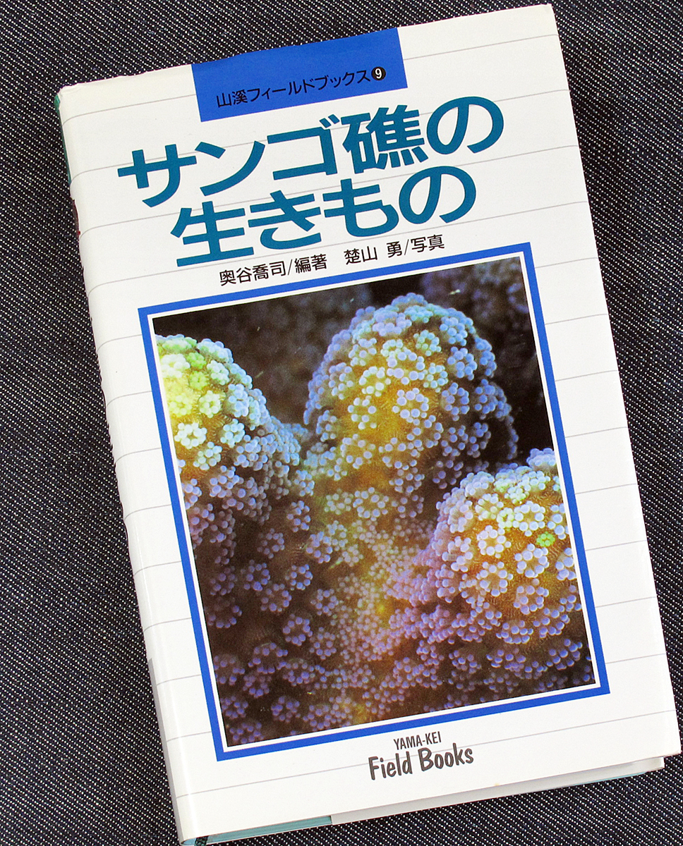  коралл .. сырой кимоно l988 вид цвет иллюстрированная книга Япония близко море iso серебристый коричневый k медуза кальмар осьминог рак-отшельник краб креветка hitote. ракообразные s