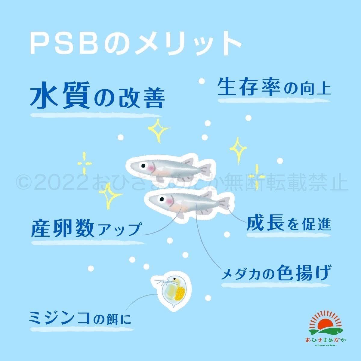 【PSB　光合成細菌　2500ml】メダカ 青水　針子　ミジンコ　ゾウリムシ培養　バクテリア　生クロレラ　金魚 　稚魚　針子メダカ卵めだかに