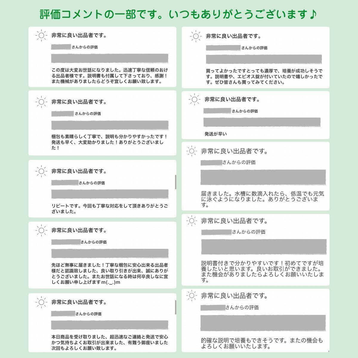 送料無料【ゾウリムシ　種水　1500ml】めだか　メダカ　針子 稚魚　餌　psb　 金魚　青水　PSB　クロレラ　ミドリムシ 針子メダカ卵に_画像4