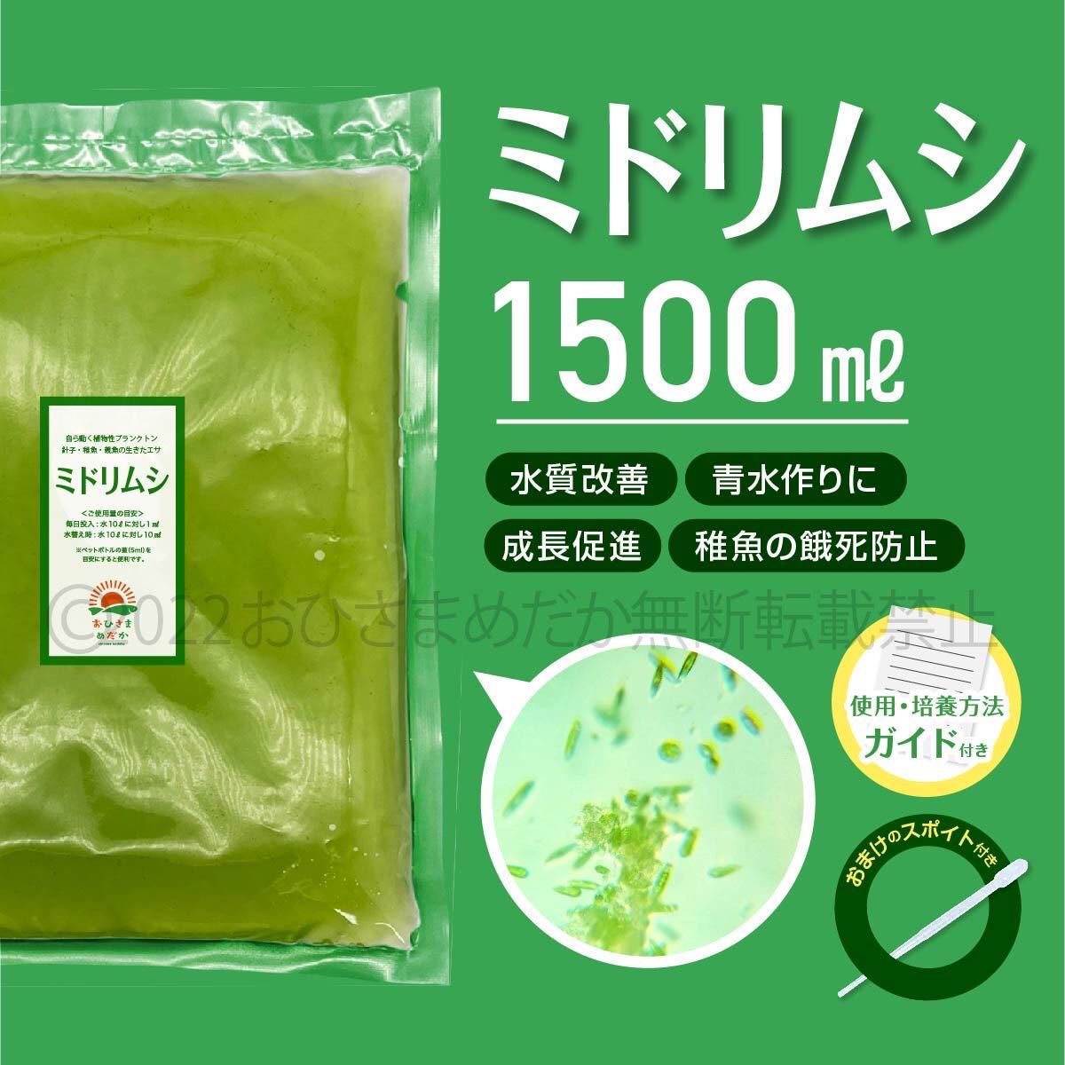 【ミドリムシ　種水　1500ml】めだか　メダカ　針子　エサ 稚魚 ベタ　psb　 金魚　ミジンコ　クロレラ　針子メダカ卵青水 に スポイトあり_画像1