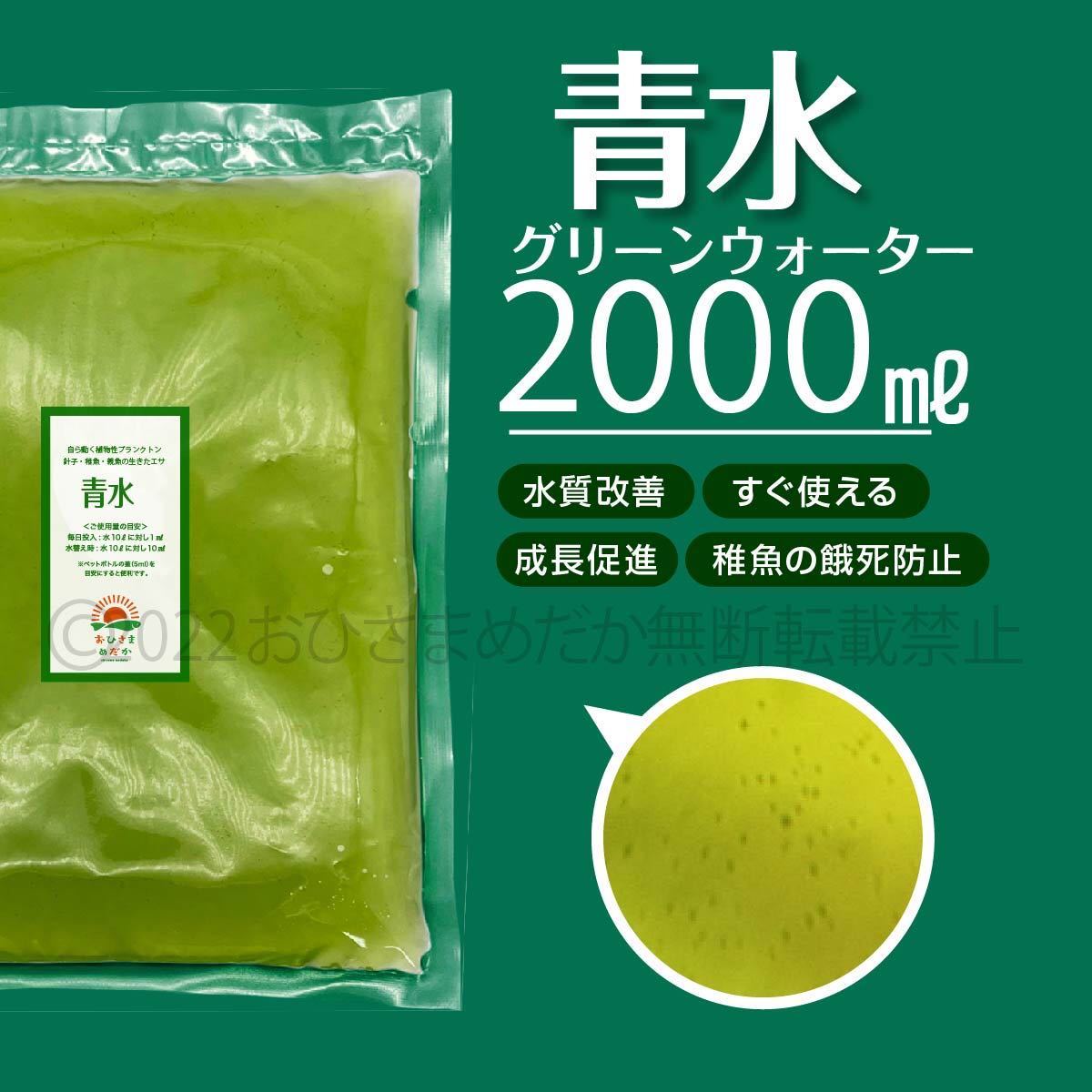 【青水　グリーンウォーター　2000ml】メダカ　めだか　稚魚　クロレラ　ミジンコ　ゾウリムシ　PSB　餌　針子メダカ卵エサ　針子にどうぞ