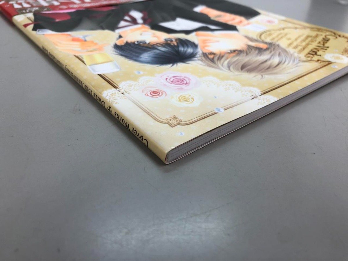 ★　【Cover Works Daria 15th Anniversary Illustration Book　明神翼/タカツキノボル ほか　フ …】166-02310_画像2