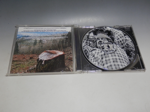 □ HYPE! オリジナル・サウンドトラック 国内盤CD WPCR-977 Sub Pop_画像4