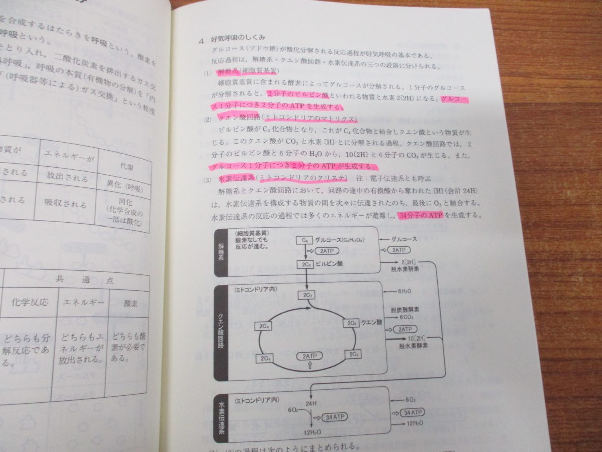 01 大学教養基礎講座 DVD+テキスト 計12点セット/基礎計算力完成/数学