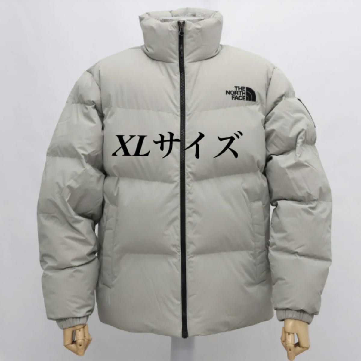 THE NORTH FACE 新品未使用 正規品 ノースフェイス アスペン EX オン