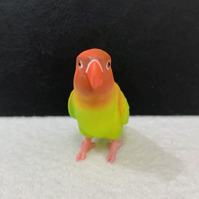 ボタンインコ(黄) 「手のりインココレクション ～ニューフェイス登場～」フィギュア★サイズ約5.5cm〈C3b_画像2