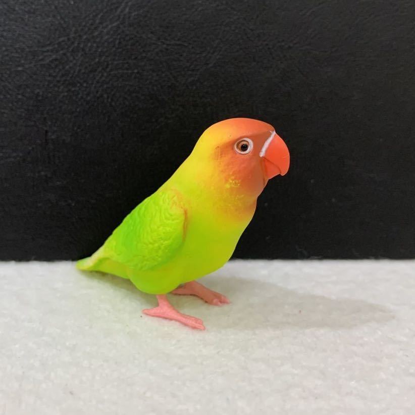 ボタンインコ(黄) 「手のりインココレクション ～ニューフェイス登場～」フィギュア★サイズ約5.5cm〈C3b_画像3