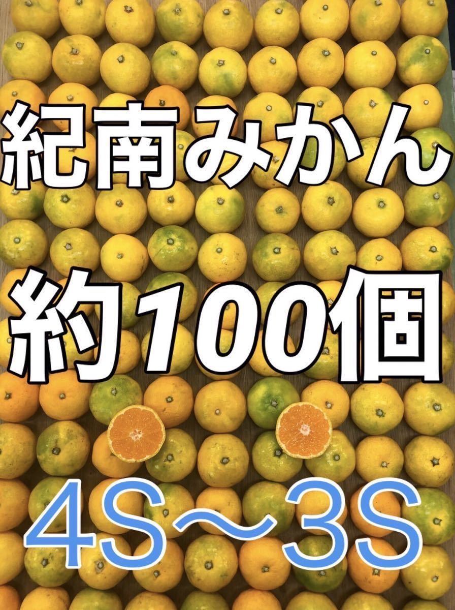 y109　紀南みかん 100個ぐらい 箱込み5kg 小玉ミニサイズ フルーツショップキルトパッチ店　和歌山県(13)_画像1