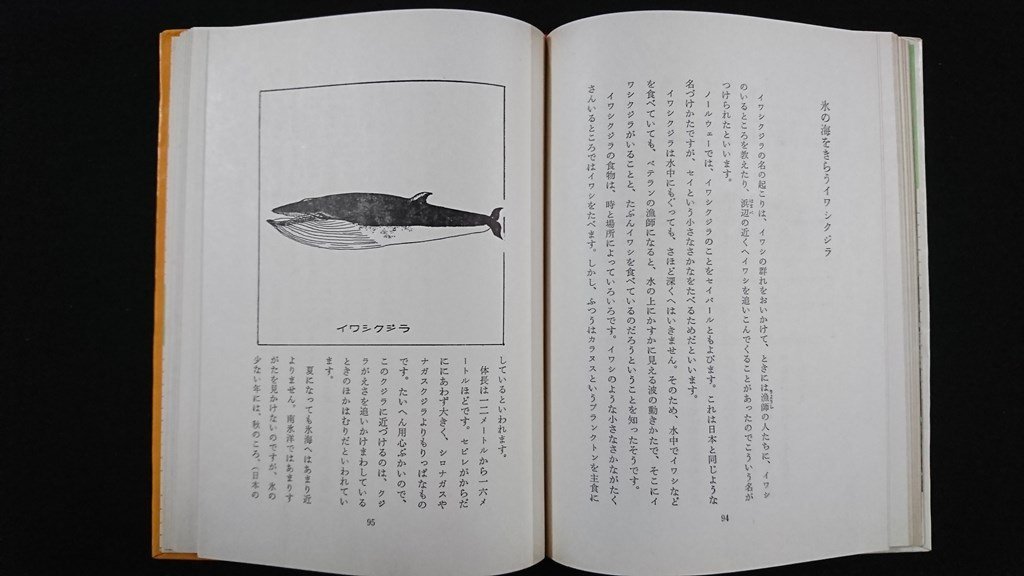 ｖ△　私たちの世界動物記７　クジラ　古賀忠道　中沢芳郎　三十書房　昭和39年初版　古書/R05_画像4