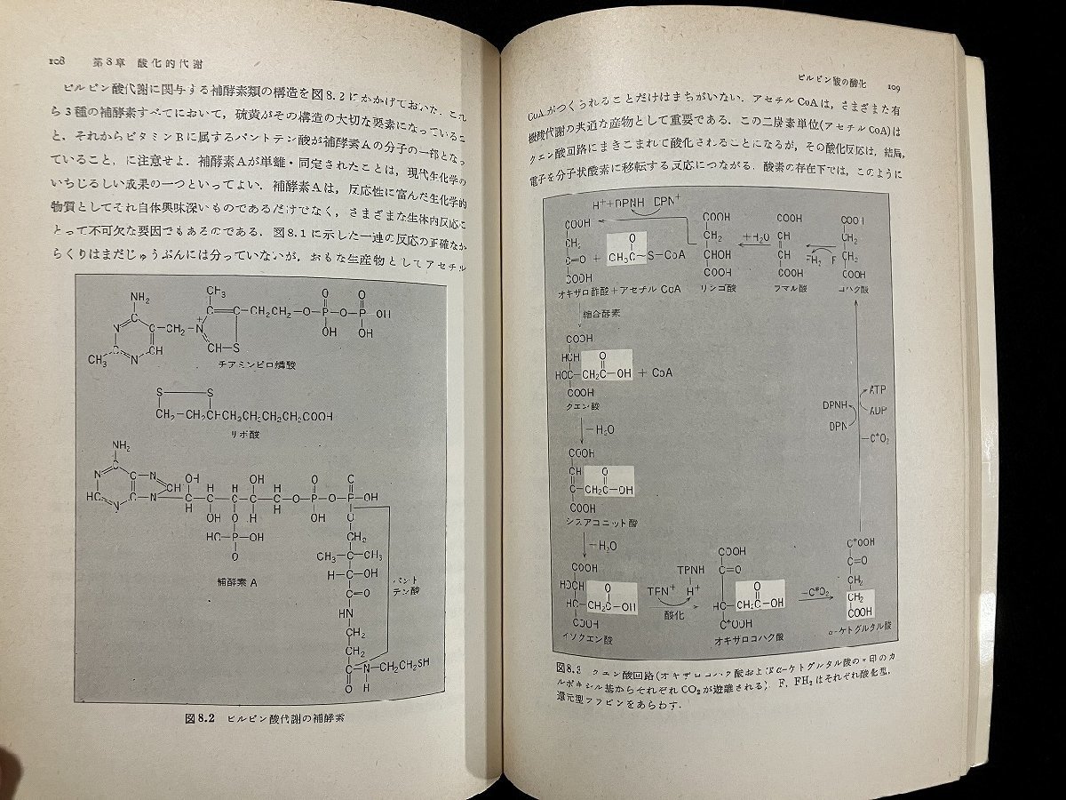 ｇ△　マッケルロイ 細胞の生理化学　現代生物学入門2　訳・太田行人　1979年第7刷　岩波書店　/B04_画像3