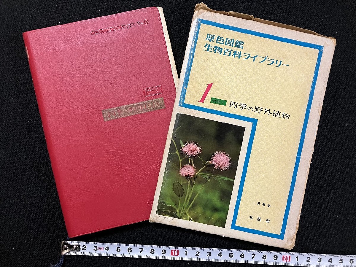 ｇ△　難あり　原色図鑑　生物百科ライブラリー　四季の野外植物　1966年　北隆館　/B06_画像1