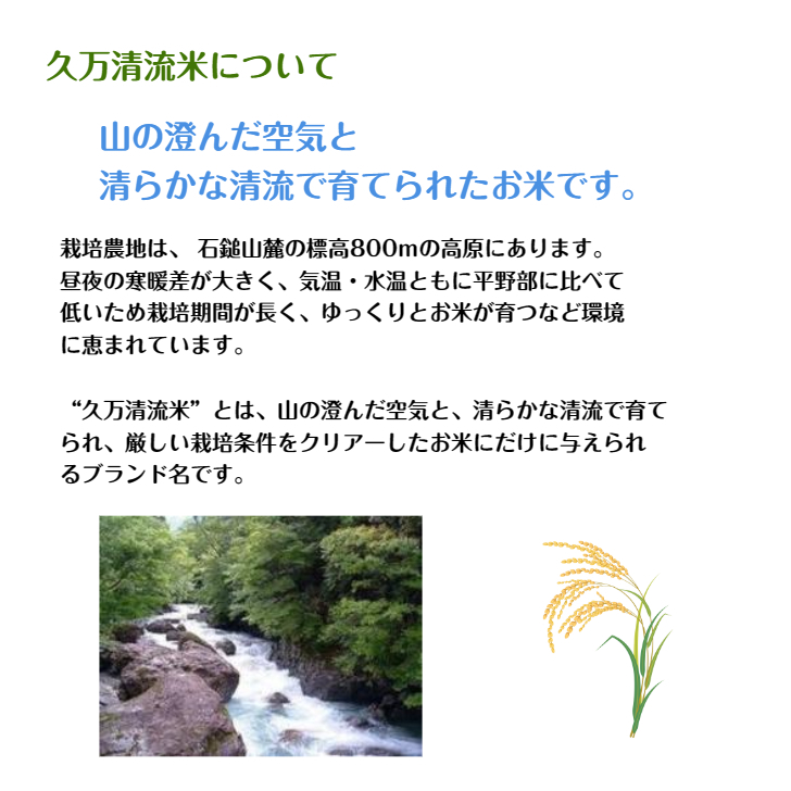 コシヒカリ 玄米1000g/白米900g 2023年産 愛媛 石鎚山麓 久万高原 清流米 減農薬 特別栽培米 高原清流が育んだお米 百姓直送 送料無料の画像2