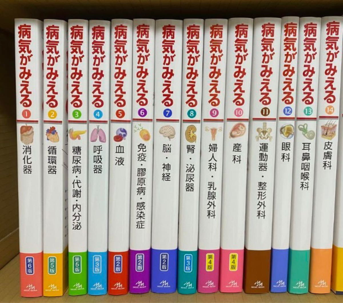 バラ売り価格 病気がみえる 全巻 vol 1〜14巻セット Yahoo!フリマ（旧