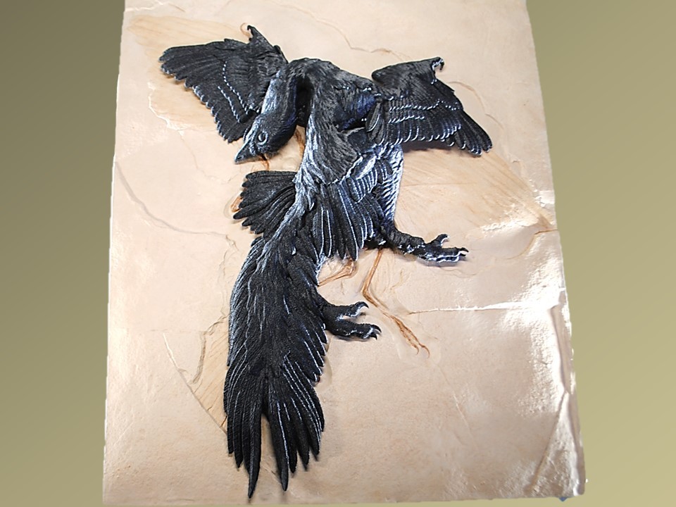 ◆1/1 始祖鳥 Archaeopteryx 3D 精密 復元模型 高級レジン製 ◆