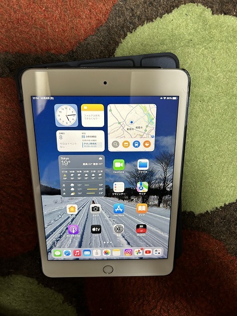 中古美品】iPad mini 7.9インチ 第5世代 Wi-Fi+Cellular 64GB 2019年春