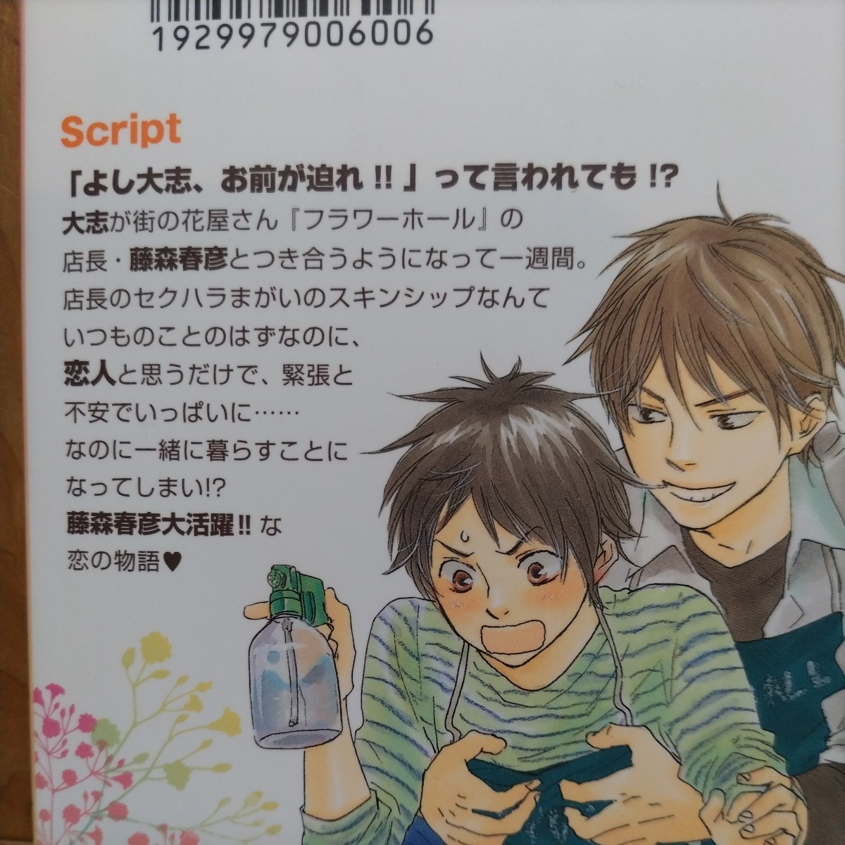 満開ダーリン 1・2 計2冊 山本小鉄子 大洋図書 満開ダーリン 1・2 計2冊 山本小鉄子 大洋図書