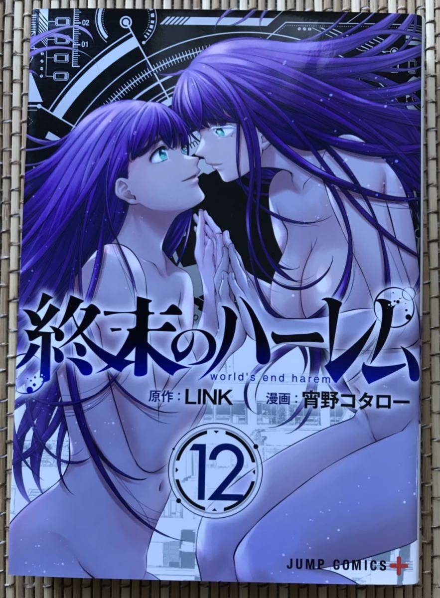 ［7冊セット］終末のハーレム 8巻〜12巻 川中島艶霧 川中島麗の画像3