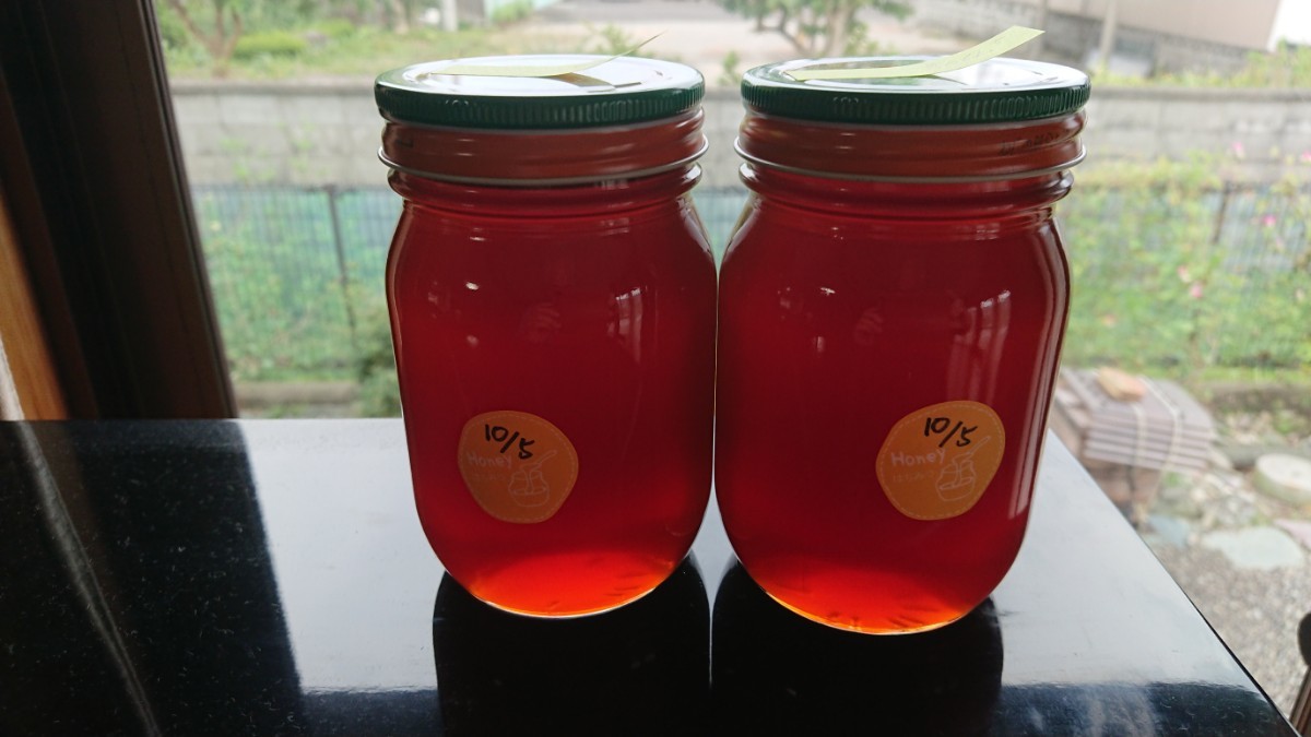 日本蜜蜂 蜂蜜 2瓶 令和５年10月採蜜 1096.6g_画像1
