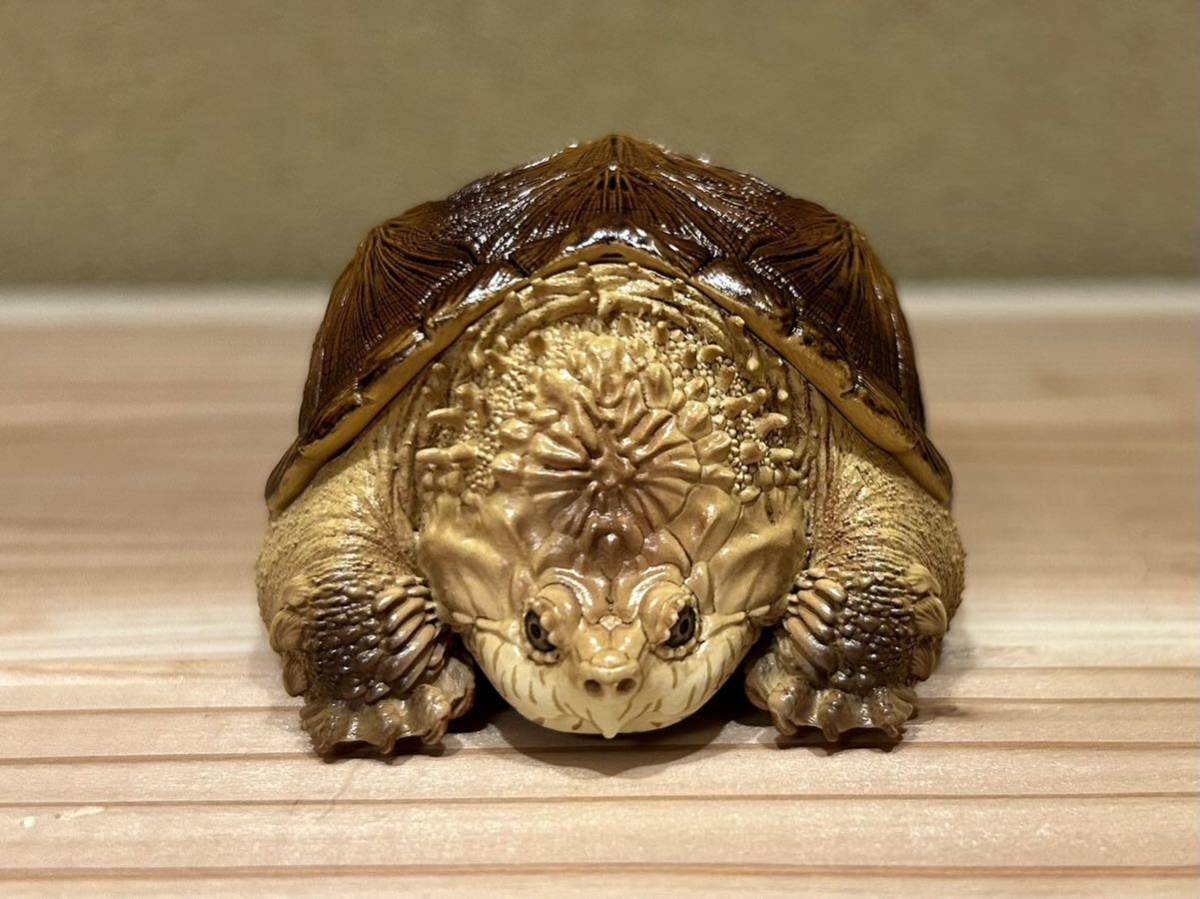  трудно найти очень редкий kami есть game( высокий po) фигурка . голова рептилии черепаха черепаха украшение произведение искусства живое существо живое существо 