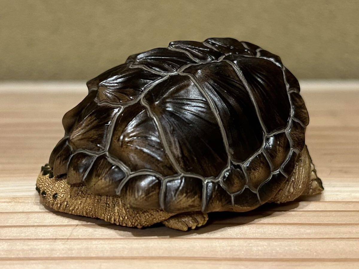  трудно найти очень редкий . голова wanigame( обычный ) фигурка рептилии черепаха черепаха украшение произведение искусства живое существо живое существо 