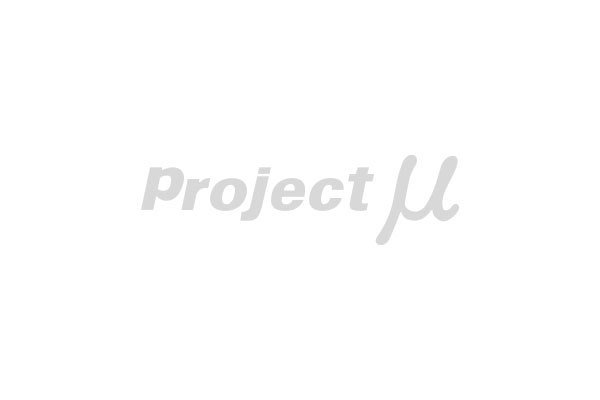 Project Mu プロジェクトミュー オリジナルステッカー Projectμ ヌキ文字 シルバー 30x100mm SS-01_画像1