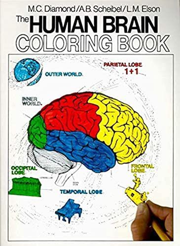 [A11309199]The Human Brain Coloring Book: A Coloring Book (Coloring Concept_画像1