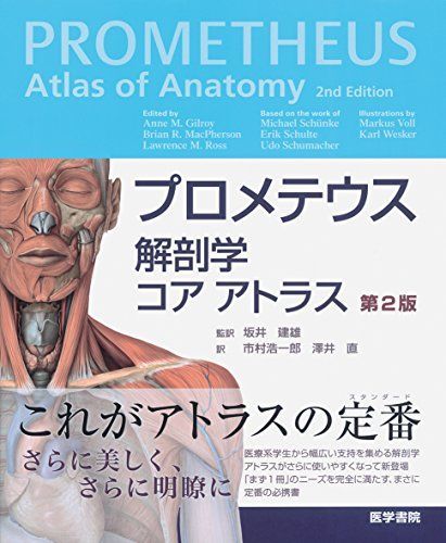 [AF22091303SP-0644]プロメテウス解剖学 コア アトラス 第2版 坂井 建雄_画像1