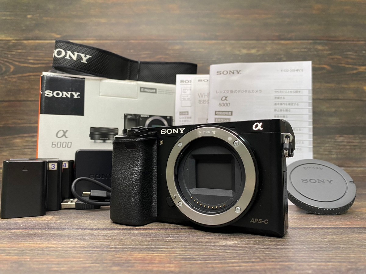 新品即決 ILCE-6000 α6000 ソニー SONY ボディ #88 元箱付き ミラー