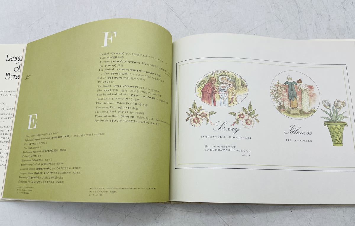 [ used ] flower words Kate Gree na way je-n Marsh . rice field . raw Hakusensha picture book 4592760085 secondhand book retro present condition goods DM1006M