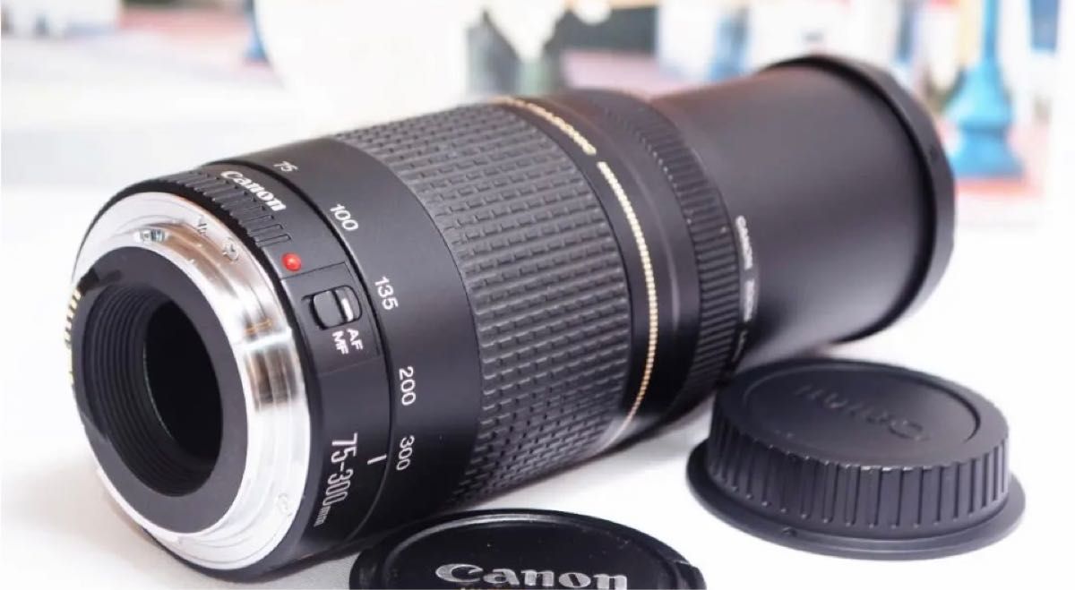 キヤノン Canon EF75-300mm 望遠レンズ 各種イベントに大活躍