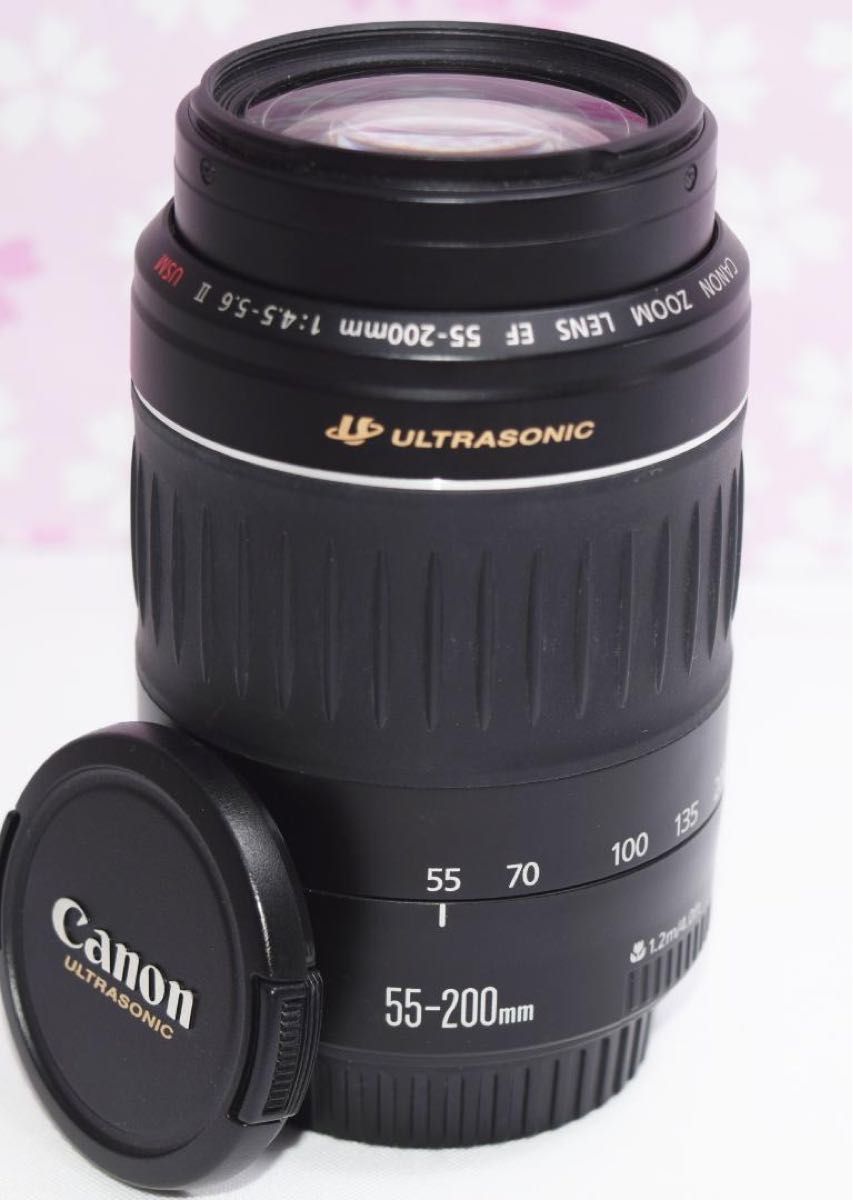 極美品Canon☆望遠レンズ☆EF55-200mm ☆遠景に最適