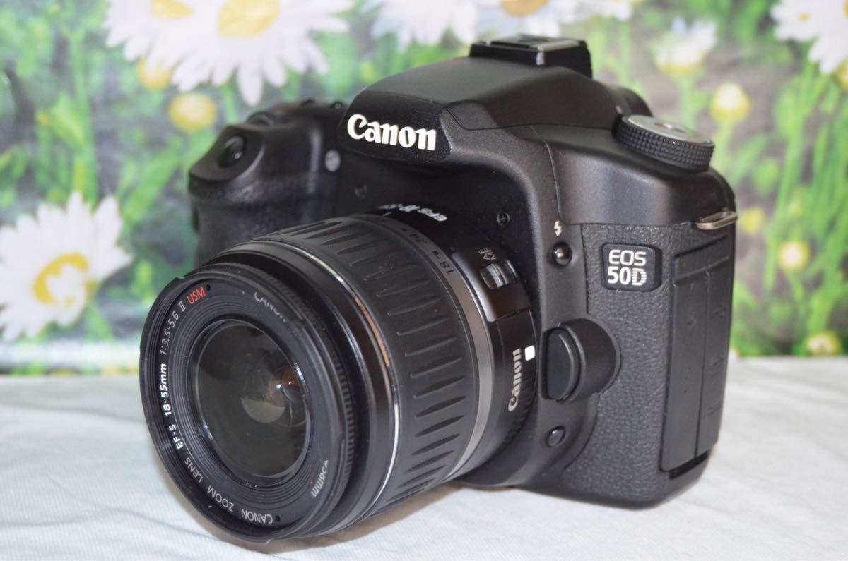美品 スマホ転送OK キャノン Canon 50D デジタル一眼レフ Yahoo!フリマ