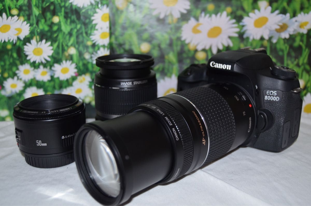 美品 Canon EOS 8000D 高画質・自撮り 届いてすぐに使える トリプル