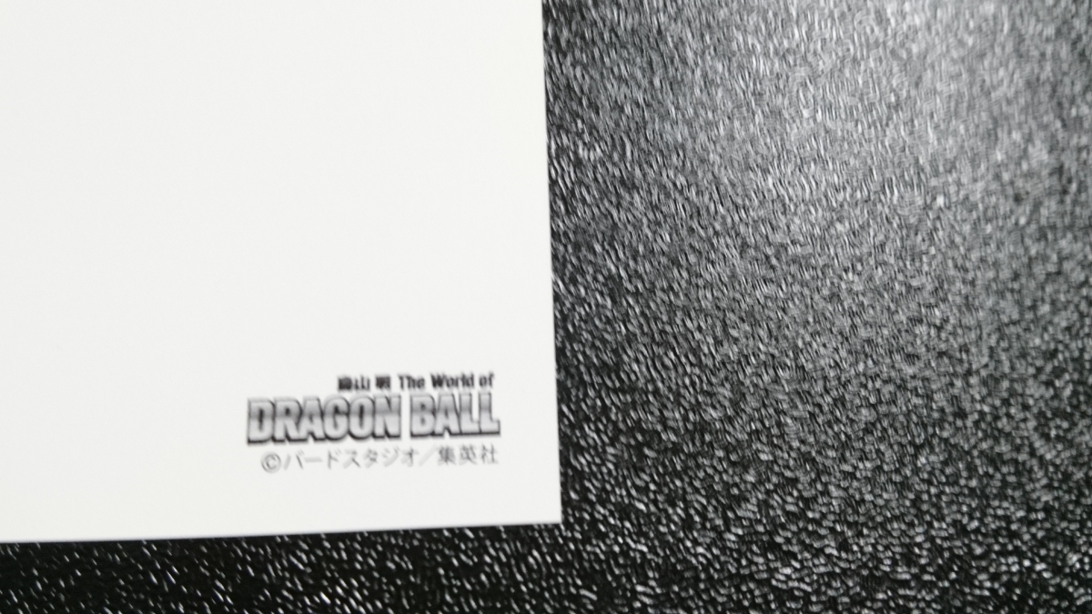 ドラゴンボール展 ポストカード 【希少】孫悟空 ブルマ ヤムチャ ドラゴンボール展 ポストカード 【希少】孫悟空 ブルマ ヤムチャ