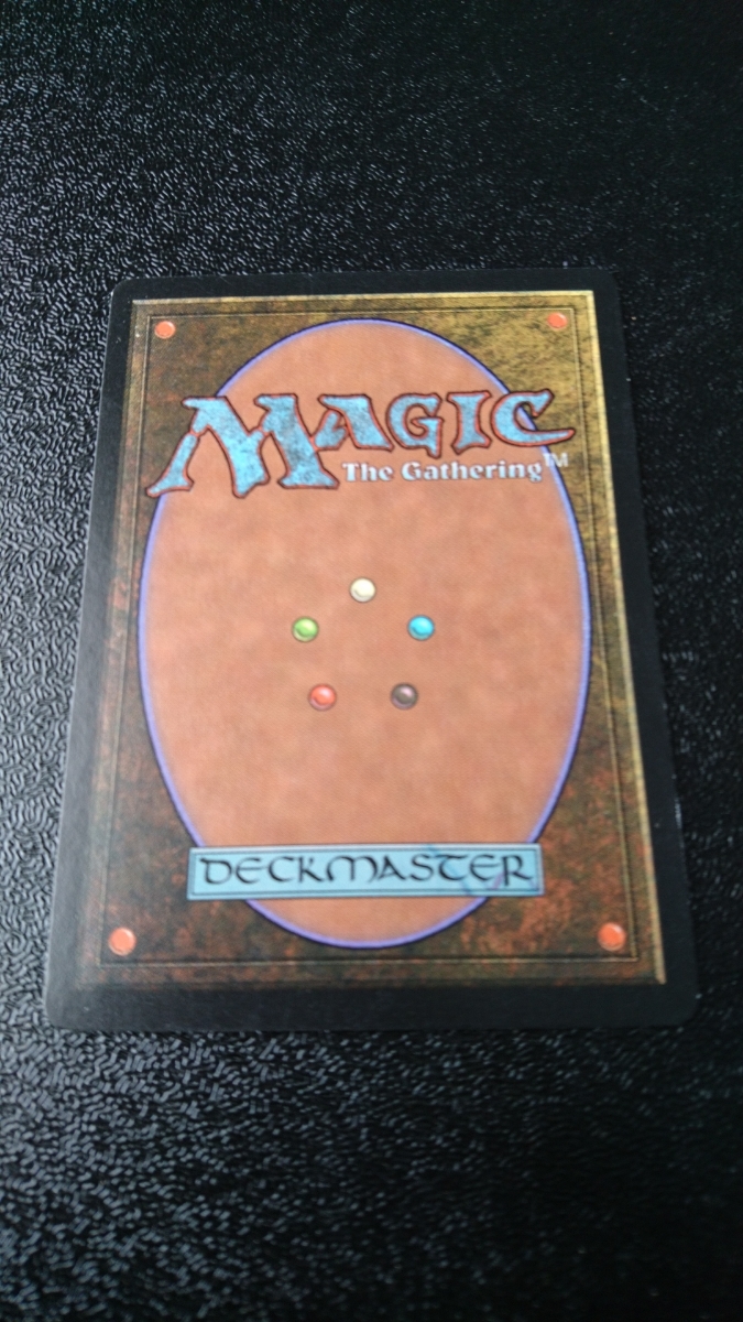 マジック:ザ・ギャザリング 毒吐き蜘蛛 Magic:The Gathering マジック ギャザリング_画像2