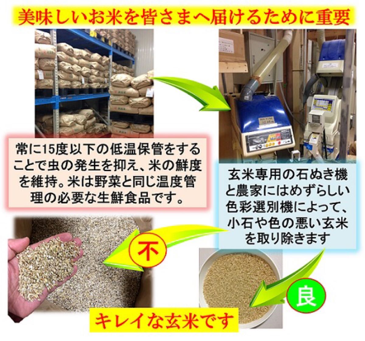 令和5年産新米　減農薬　新潟こしひかり白米2kg+白米2kg 新潟県三条市旧しただ村産　新潟県認証　特別栽培米100%  白雪美人