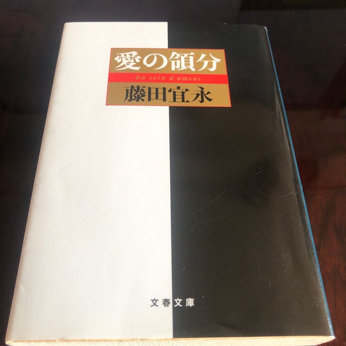 愛の領分 （文春文庫） 藤田宜永／著