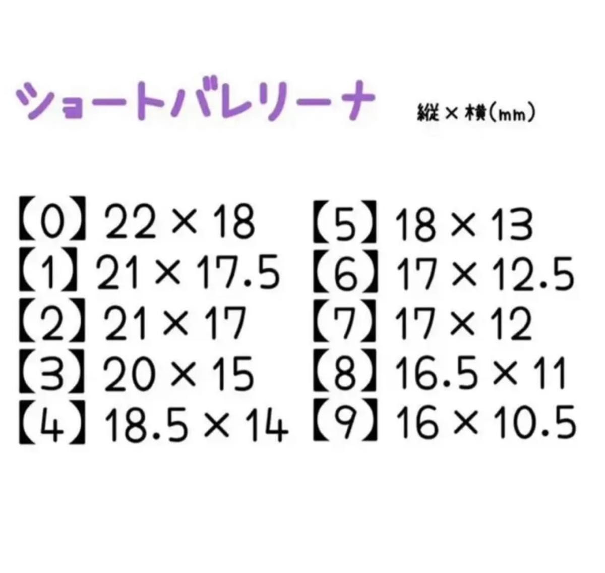 ネイルチップ ディズニー アラジン風ネイル No.60 チップシール付き