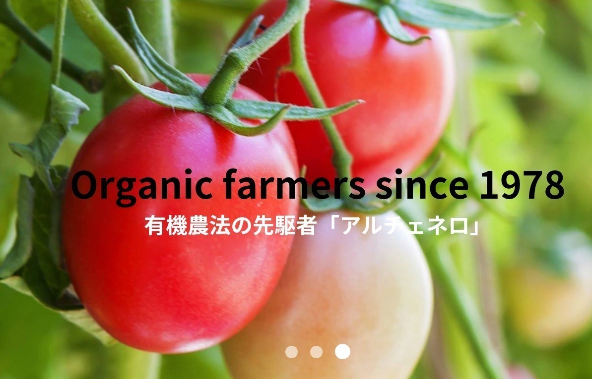 有機パスタソース トマト＆香味野菜 350g×3個 アルチェネロ アルチェネロ 有機JAS EU有機認定 オーガニック 有機トマト_画像4