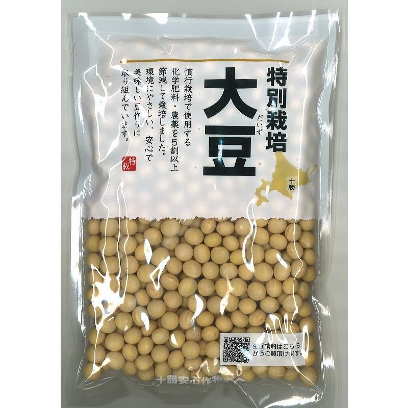  special cultivation large legume 200g×3 sack Hokkaido Tokachi production ( mail service )... contract cultivation . pesticide beans high grade high quality cultivation past record control high class dry bean 