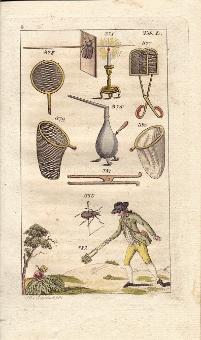  approximately 200 year front. antique print Austria insect collection . make person insect specimen therefore. tool butterfly . insect net copperplate engraving hand coloring 