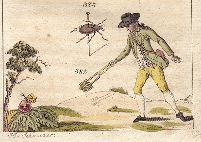  approximately 200 year front. antique print Austria insect collection . make person insect specimen therefore. tool butterfly . insect net copperplate engraving hand coloring 