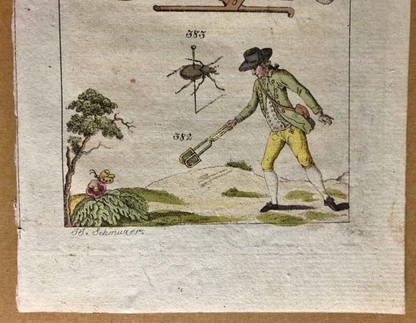  approximately 200 year front. antique print Austria insect collection . make person insect specimen therefore. tool butterfly . insect net copperplate engraving hand coloring 