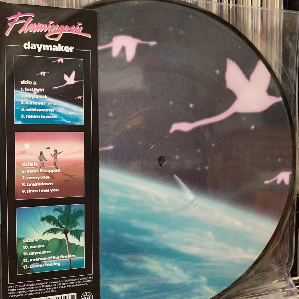 Flamingosis Daymaker ピクチャー レコード 2LP Nujabes