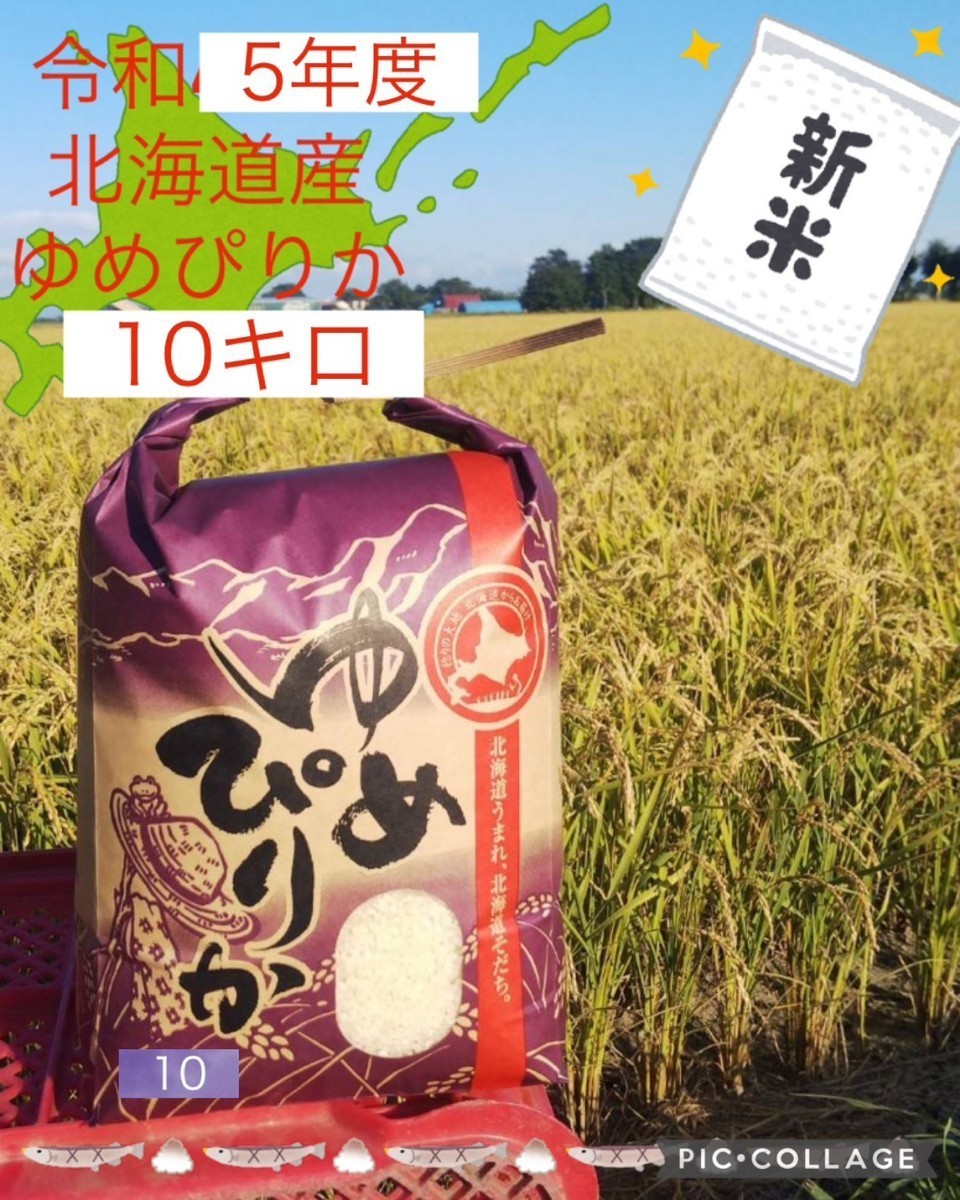 令和5年産　北海道ゆめぴりか10kg_画像1