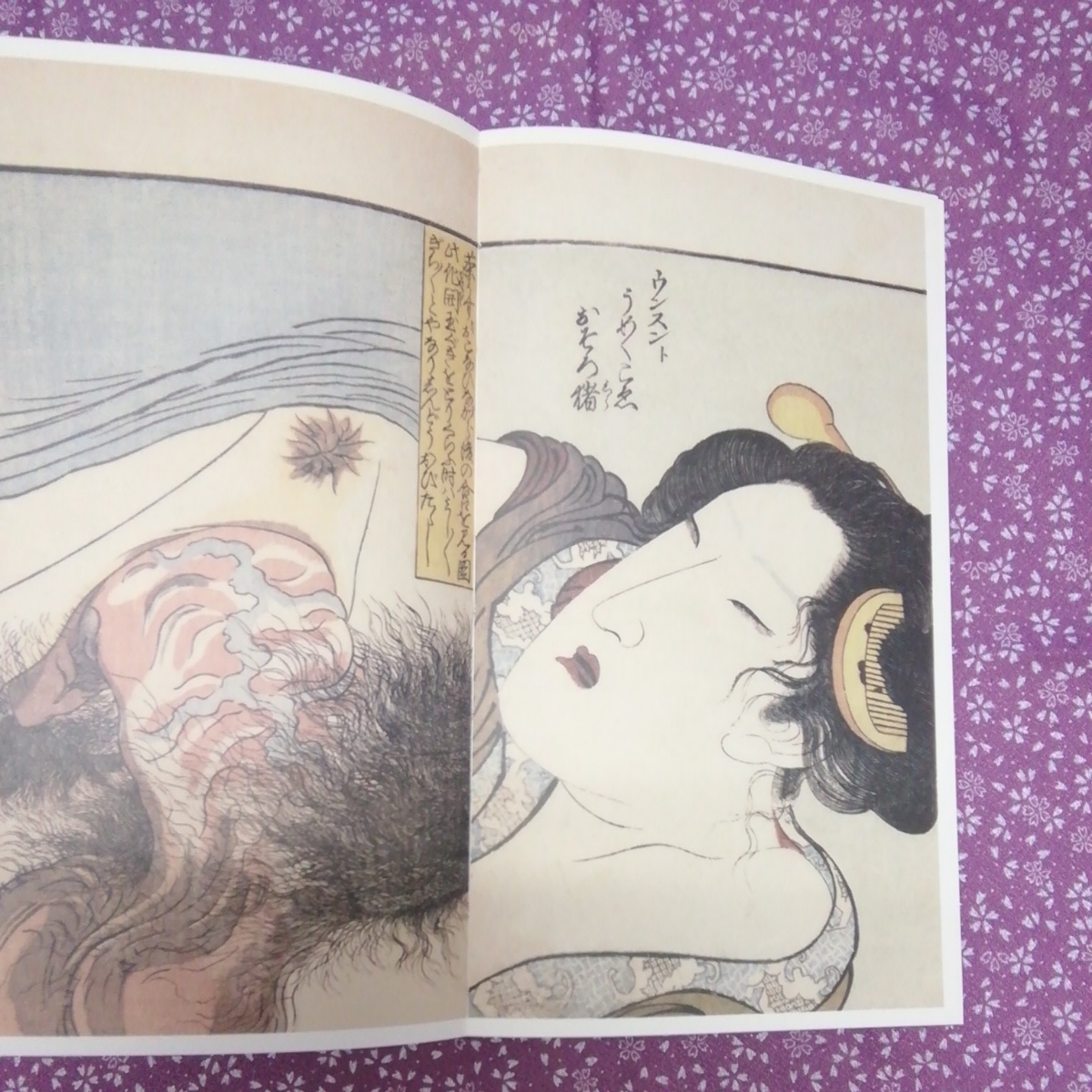 代購代標第一品牌 樂淘letao 古美術 浮世絵 歴史 春画展図録 永青文庫 15年 代購代標第一品牌 樂淘letao 古美術 浮世絵 歴史 春画展図録 永青文庫 15年