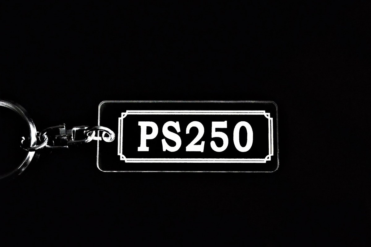 A-881 PS250 アクリル製 クリア 2重リング キーホルダー カスタム パーツ 外装 シート ミラー 等のアクセサリーにの画像3